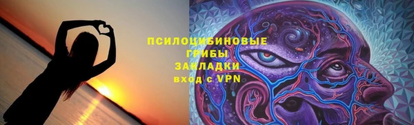 шишки Белоозёрский