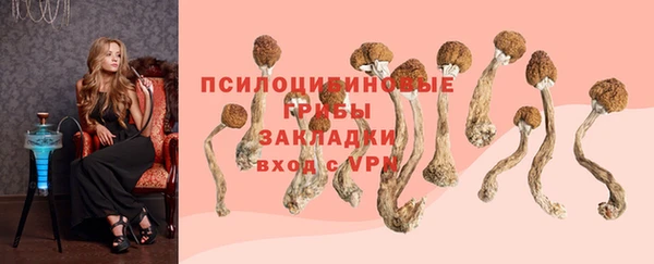 спиды Белокуриха