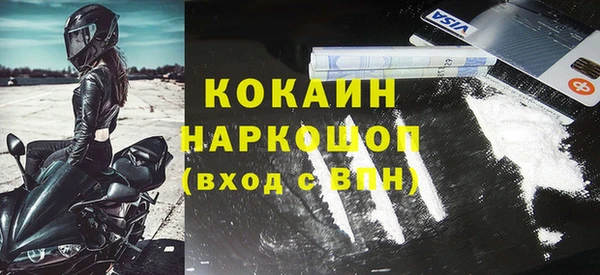 шишки Белоозёрский