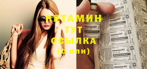 прущие грибы Няндома