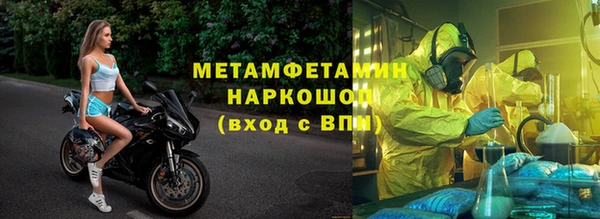 шишки Белоозёрский