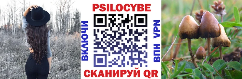 хочу Окуловка Псилоцибиновые грибы Psilocybine cubensis