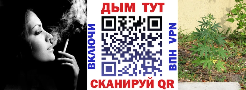 МАРИХУАНА план  купить закладку  Окуловка 